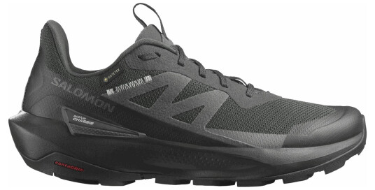 Salomon Elixir Activ GTX Carbon/Sharkskin/Slate Green 46