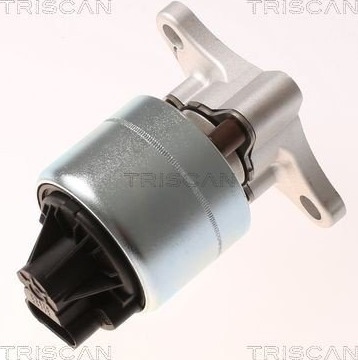 EGR-ventil TRISCAN 8813 21026
