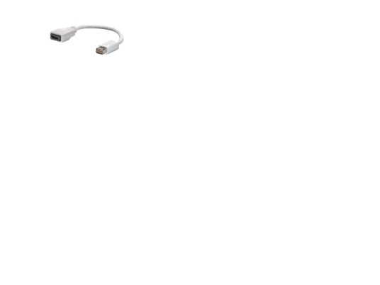 Lindy Mini-Dvi To Hdmi, 0,20 M, Mini-Dvi, Hdmi Type A (Standard), Hvit