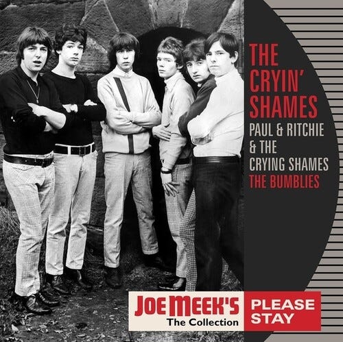 Cryin Shames Please Stay LP/Vinyl