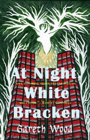 At Night White Bracken At Night White Bracken