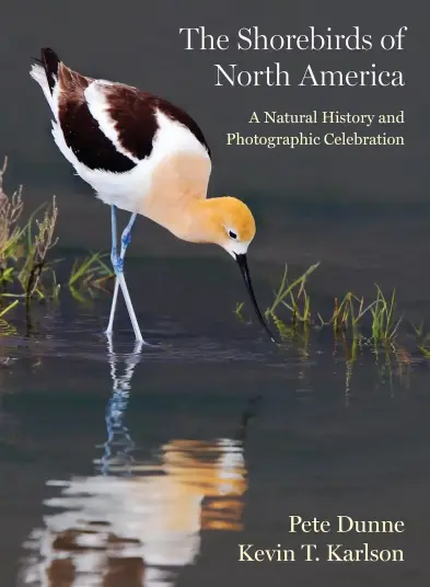 The Shorebirds of North America The Shorebirds of North America