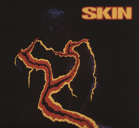 Skin Collector's Set CD