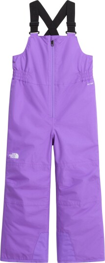 The North Face Kids" Freedom Insulated Bib Pants Elevation Purple 4 yr