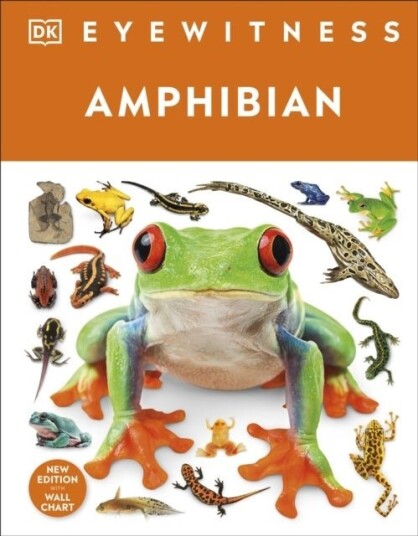 Eyewitness Amphibian Eyewitness Amphibian