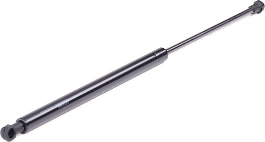 RIDEX 219G0024 Baklukedemper