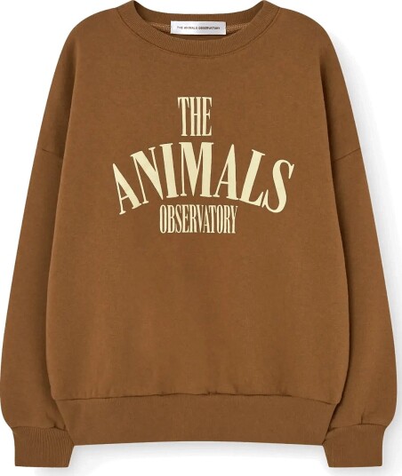 THE ANIMALS OBSERVATORY Killifish Warm Kid Sweatshirt Medium Grey Heather Brown 12 Y THE ANIMALS OBSERVATORY Killifish Warm Kid Sweatshirt Medium Grey Heather Brown 12 Y