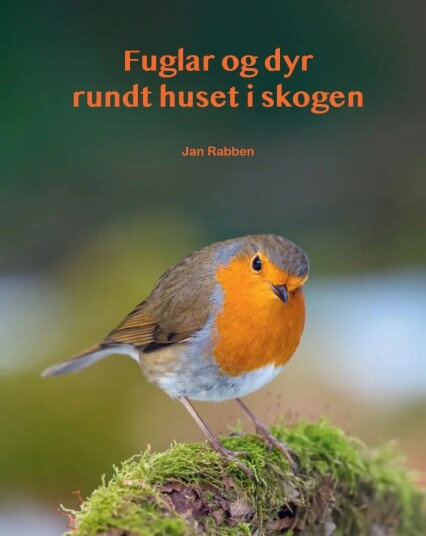 Fuglar Og Dyr Rundt Huset I Skogen Av Jan Rabben