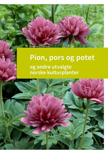 Pion pors og potet