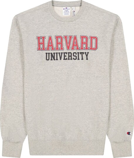 Champion Fashion Collegegenser EM031 Champion 16 18 år 176 188 Collegegenser Grå