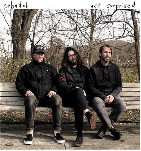 Sebadoh Act Surprised LP/Vinyl
