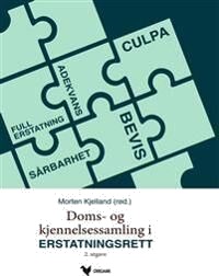 Doms- Og Kjennelsessamling I Erstatningsrett