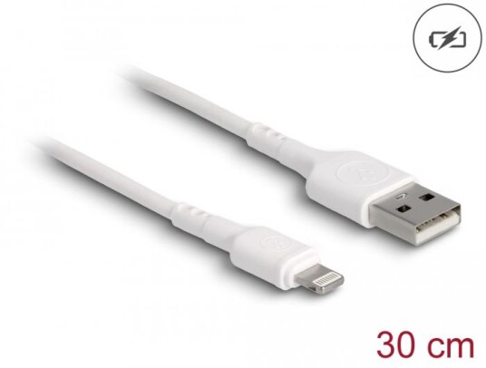 DELOCK USB Charging Cable for iPhone™ iPad™ iPod™ white 30 cm