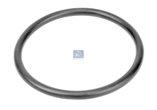 DT Spare Parts 6.30062 Pakning vannpumpe