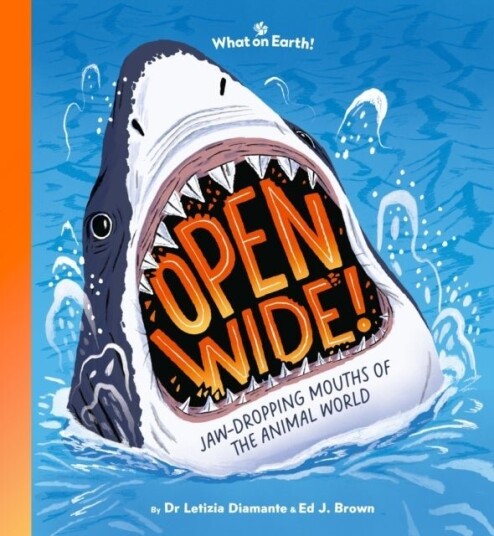 Open Wide! Open Wide!