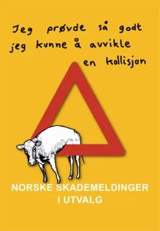 Norske Skademeldinger I Utvalg