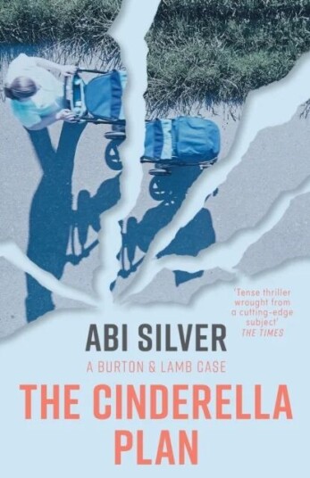 The Cinderella Plan Av Abi Silver