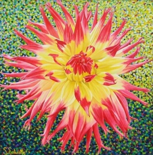Kort Med Konvolutt Cactus Dahlia