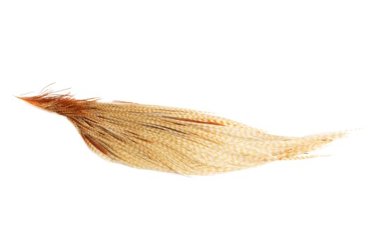 Whiting Pro Grade 1/2 Cape Whiting Pro Grade 1/2 Cape