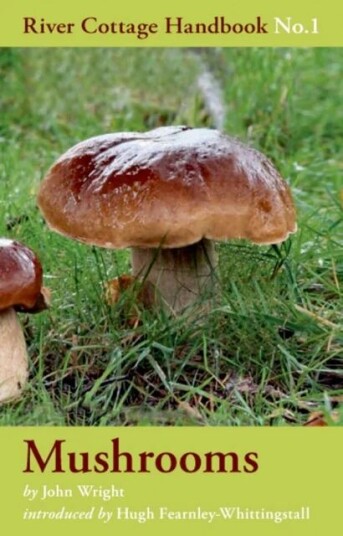 Mushrooms Av John Wright