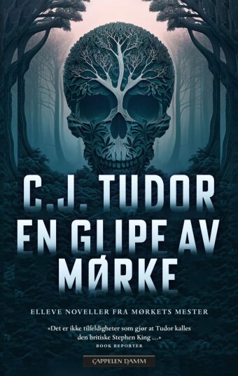En Glipe Av Mørke Av C.J. Tudor