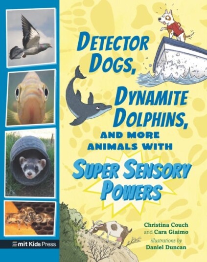Detector Dogs, Dynamite Dolphins, And More Animals With Super Sensory Powers Av Cara Giaimo, Christina Couch Detector Dogs, Dynamite Dolphins, And More Animals With Super Sensory Powers Av Cara Giaimo, Christina Couch