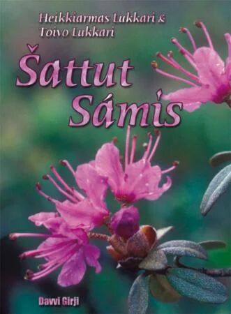 Sattut Sámis Av Heikkiarmas Lukkari, Toivo Lukkari