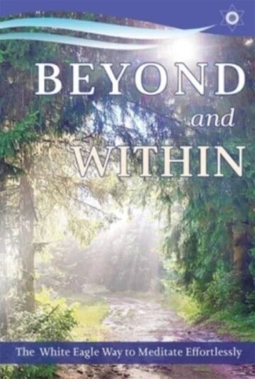 Beyond And Within Av Anna (Anna Hayward) Hayward