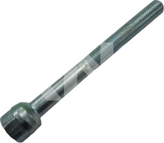 Skrue, eksosanlegg ERNST 490276 Skrue, eksosanlegg ERNST 490276