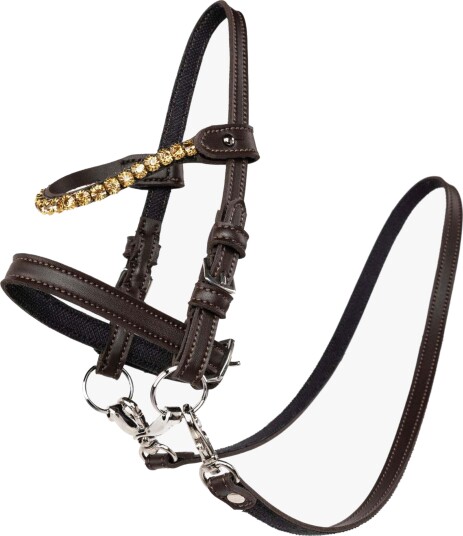 My Hobby Horse Hodelag Med Gullsteiner Brun