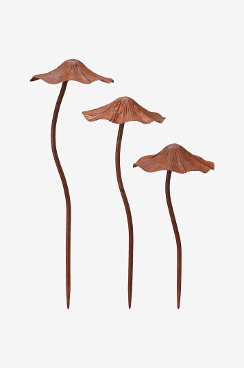 Wikholm ForMushrooms   Brun