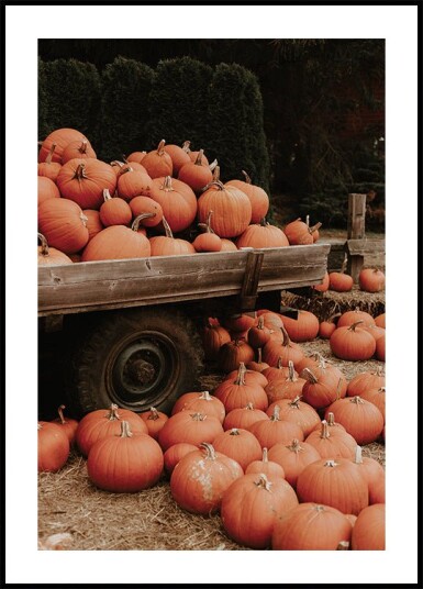 Pumpkin Patch Truck Plakat Plakat / 100x150cm Pumpkin Patch Truck Plakat Plakat / 100x150cm