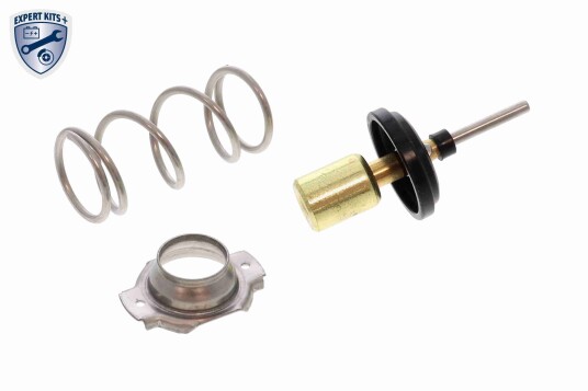 Termostat ACKOJA A70 99 0034