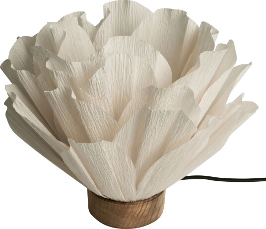 Lisa Bordlampe Natur Lisa Bordlampe Natur