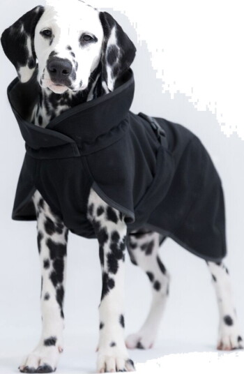 Paikka Recovery Softshell Hundjacka Svart
