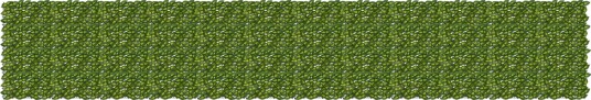  Balkong skjerm med blader Grønn og gul 600 x 100 cm