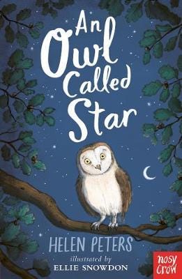 An Owl Called Star Av Helen Peters