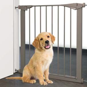 Hundegrind I Metall 79-84Cm Hundegrind I Metall 79-84Cm