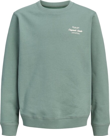 Jack & Jones Collegegenser JorNorrebro Laurbærkrans/AW 26 Jack & Jones 16 år (176) Collegegenser Armygrønn Grønn
