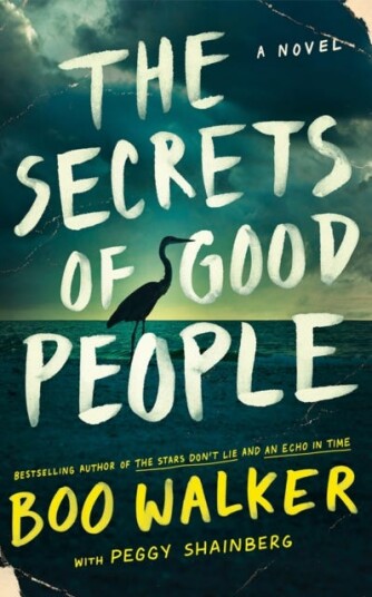 The Secrets of Good People  A Novel