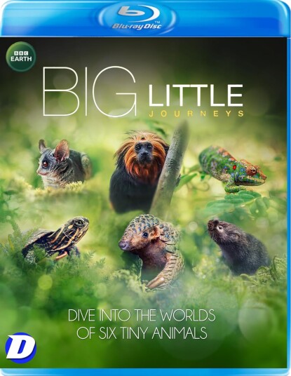 Big Little Journeys