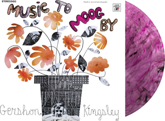 Music to Moog By