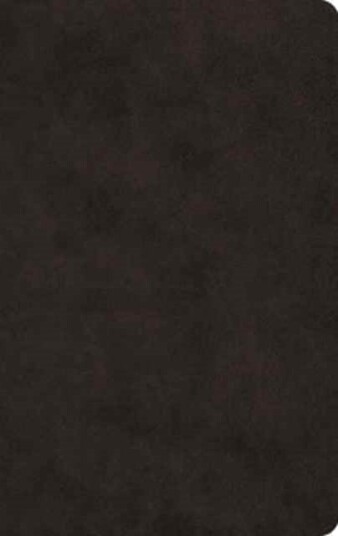 ESV Large Print Value Thinline Bible