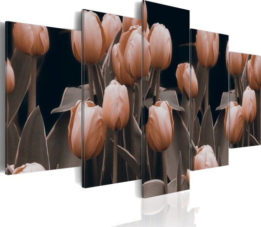 Bilde Tulipaner Sepia 200x100 Artgeist sp. z o. o.