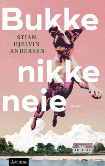 Bukke nikke neie Bukke nikke neie