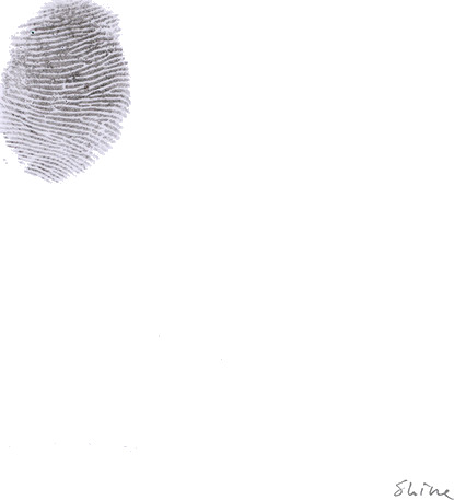 S H I N E White