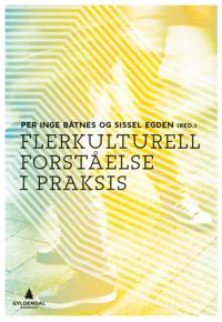 Flerkulturell Forståelse I Praksis