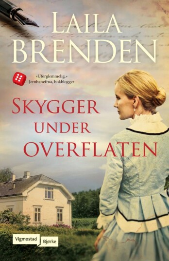 Skygger under overflaten av Laila Brenden - Roman fra Vigmostad Bjørke