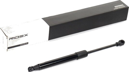 RIDEX 219G0572 Baklukedemper