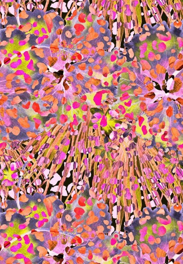 Wilton teppe Dottie rosa/multi Størrelse: 200 x 280 cm